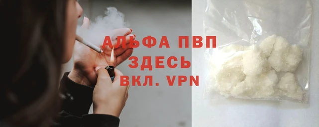 стафф Магадан