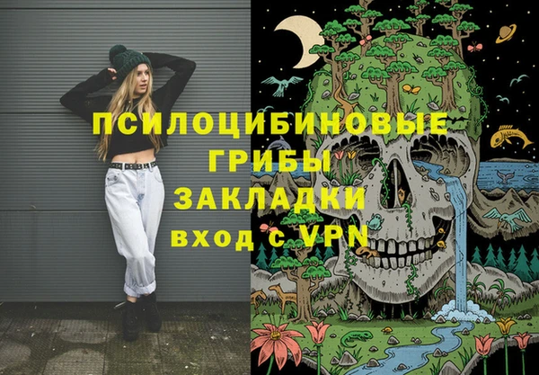 PSILOCYBIN Бердск
