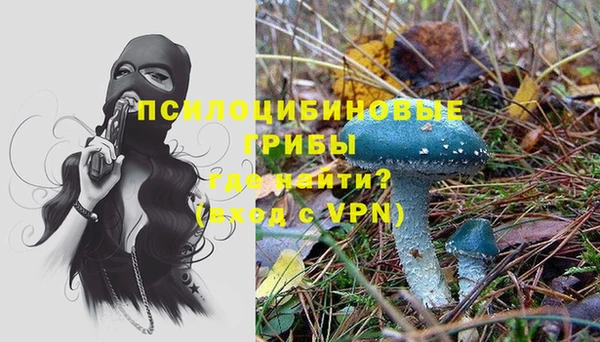 дурь Долгопрудный