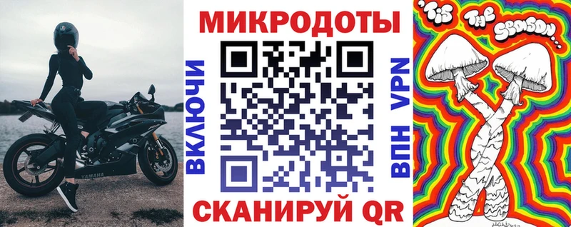 Галлюциногенные грибы Psilocybe Щёлкино